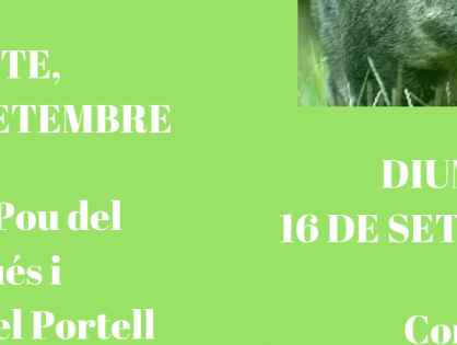 BATUDES DE PORC SENGLAR PER AL 15 I EL 16 DE SETEMBRE