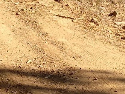 TRABAJOS EN LOS CAMINOS DEL TÉRMINO