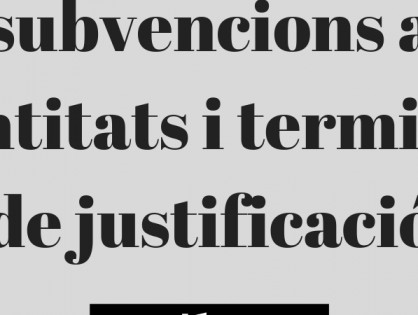 CONCESSIÓ DE SUBVENCIONS I TERMINI PER A JUSTIFICAR-LES