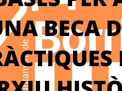 BECA DE PRÁCTICAS PARA EL ARCHIVO HISTÓRICO