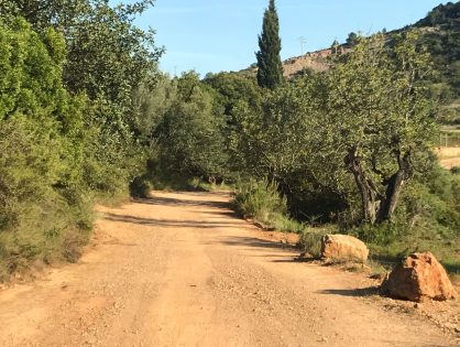 TREBALLS EN DIFERENTS CAMINS DEL TERME