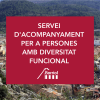 SERVICIO DE ACOMPAÑAMIENTO PARA PERSONAS CON DIVERSIDAD FUNCIONAL 2021