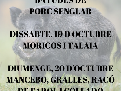 BATUDES DE PORC SENGLAR PER AL 19 I 20 D'OCTUBRE