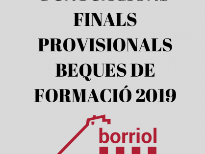PUNTUACIONES FINALES PROVISIONALES DE LAS BECAS DE FORMACIÓN 2019