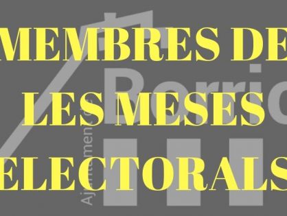 CONSULTA DEL LLISTAT DELS MEMBRES DE LES MESES ELECTORALS