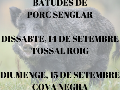BATUDES DE PORC SENGLAR PER AL 14 I 15 DE SETEMBRE