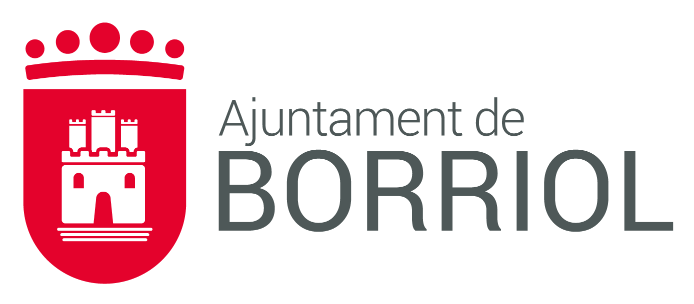 Ayto Borriol