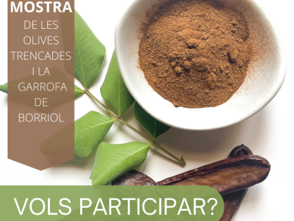 Participa en la Mostra de les olives trencades i la garrofa de Borriol