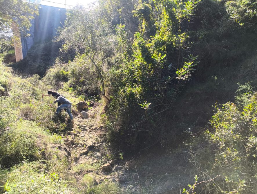 Jóvens compromesos amb el seu futur i amb la conservació del nostre entorn natural
