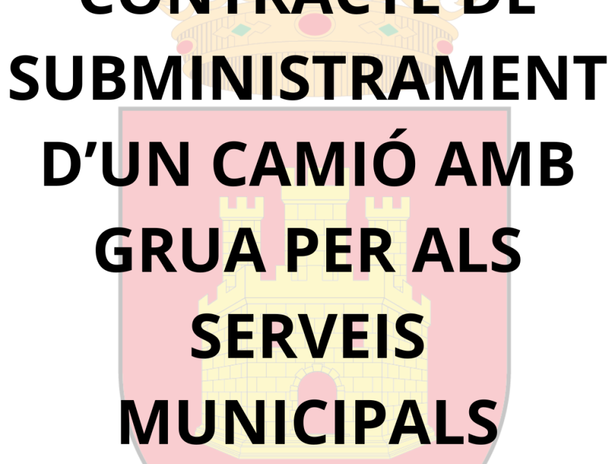 CONTRATO DE SUMINISTRO DE UN CAMIÓN CON GRÚA PARA LOS SERVICIOS MUNICIPALES