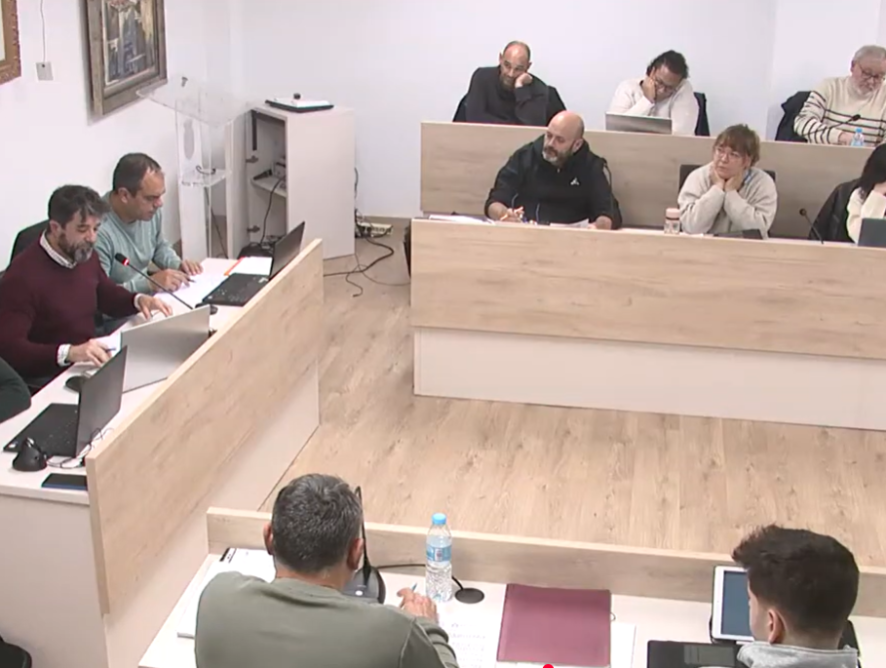 PLENO ORDINARIO DE 29 DE ENERO AL YOUTUBE