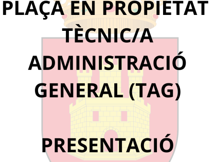 1 PLAÇA DE TÈCNIC/A D’ADMINISTRACIÓ GENERAL (TAG)