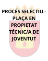 UNA PLAZA EN PROPIEDAD – TÉCNICO/A DE JUVENTUD