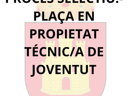 UNA PLAÇA EN PROPIETAT – TÈCNIC/A DE JOVENTUT