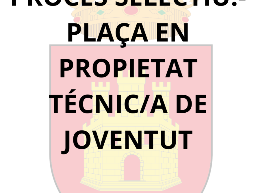 UNA PLAZA EN PROPIEDAD – TÉCNICO/A DE JUVENTUD