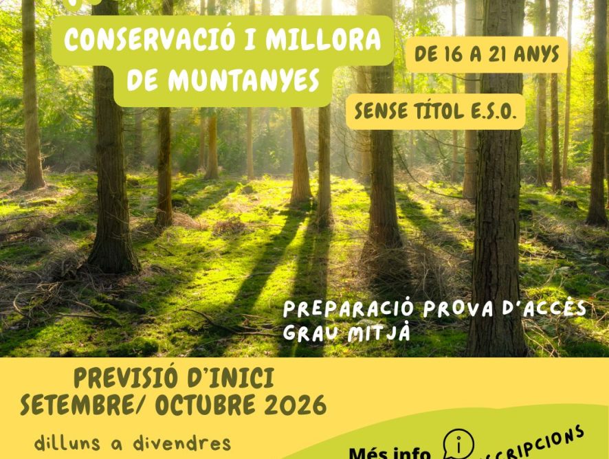 BORRIOL IMPULSA LA 3ª EDICIÓN DEL PFQB PARA OFRECER UNA SEGUNDA OPORTUNIDAD EDUCATIVA A LA JUVENTUD